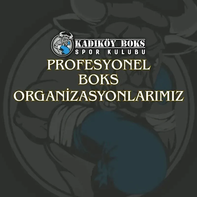 Profesyonel Boks Organizasyonlarımız
