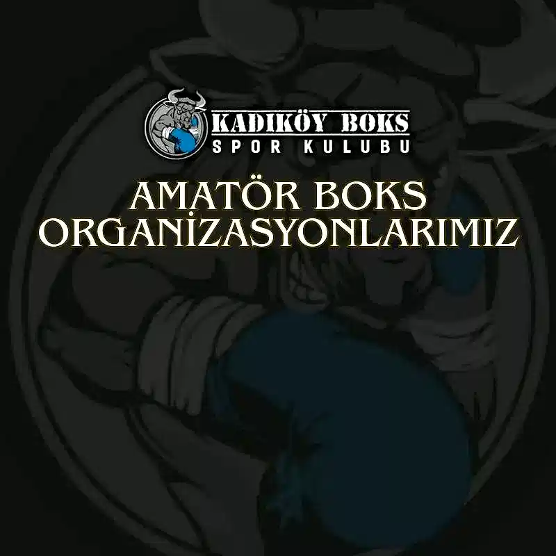 Amatör Boks Organizasyonlarımız